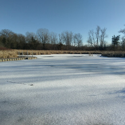 This fun boardwalk across a (frozen) wetland is a nice change of pace