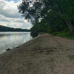 The sandy beach on the Mississippi River