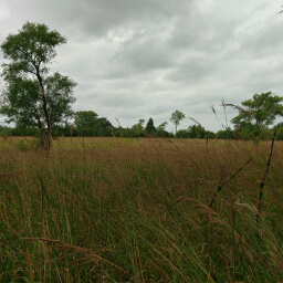 This restored prairie will provide yet another type of landscape to your trip