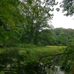 Meadows and ponds are frequent in this hike