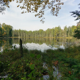 Pine, spruce, and tamarack reflect in this secluded lake