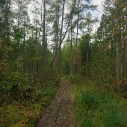 The boardwalk at the beginning of the peat bog