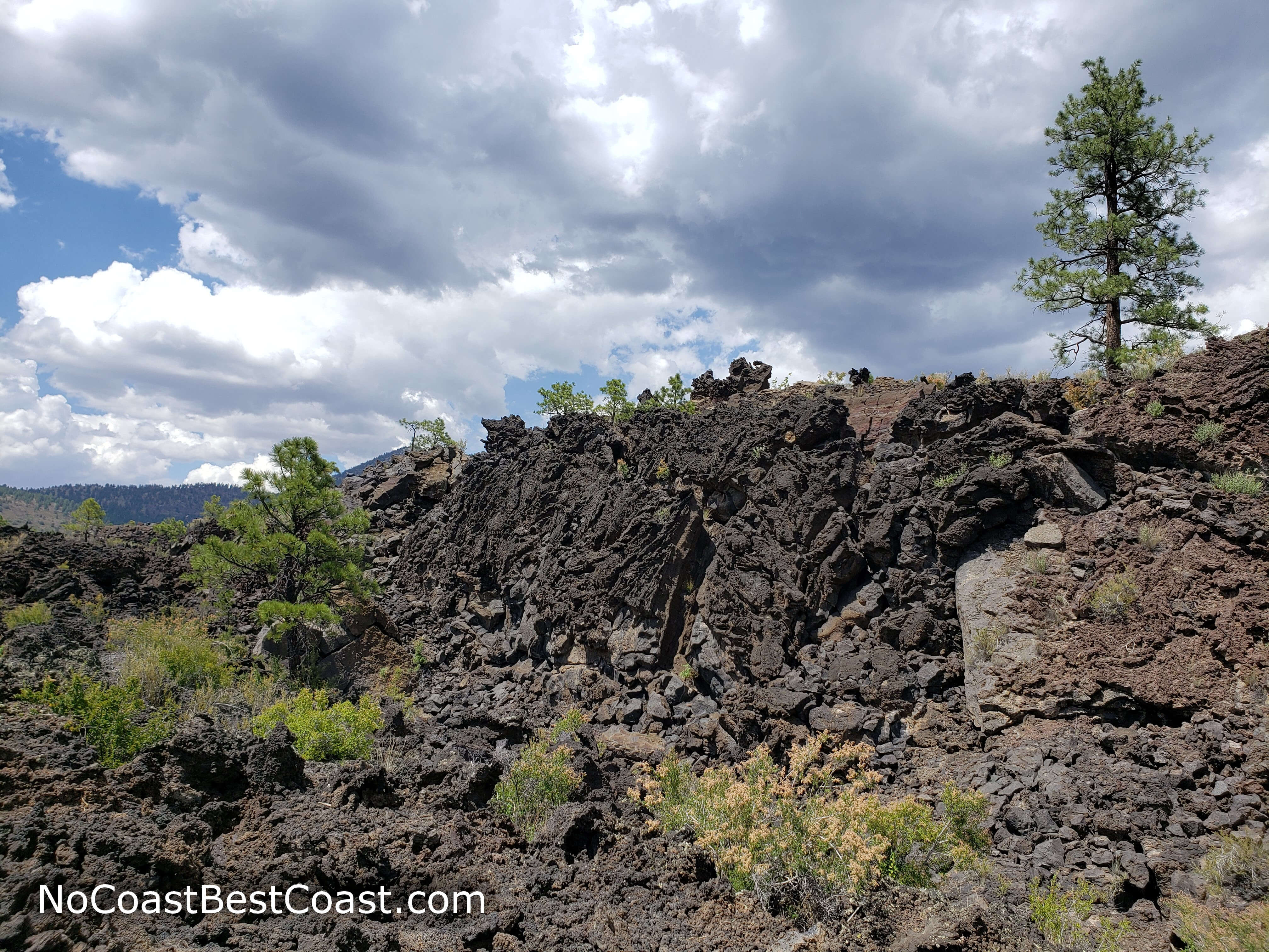 The jagged basalt formations of the Bonito Lava Flow