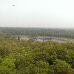 The smoky wilderness of Itasca State Park from the top of the fire tower