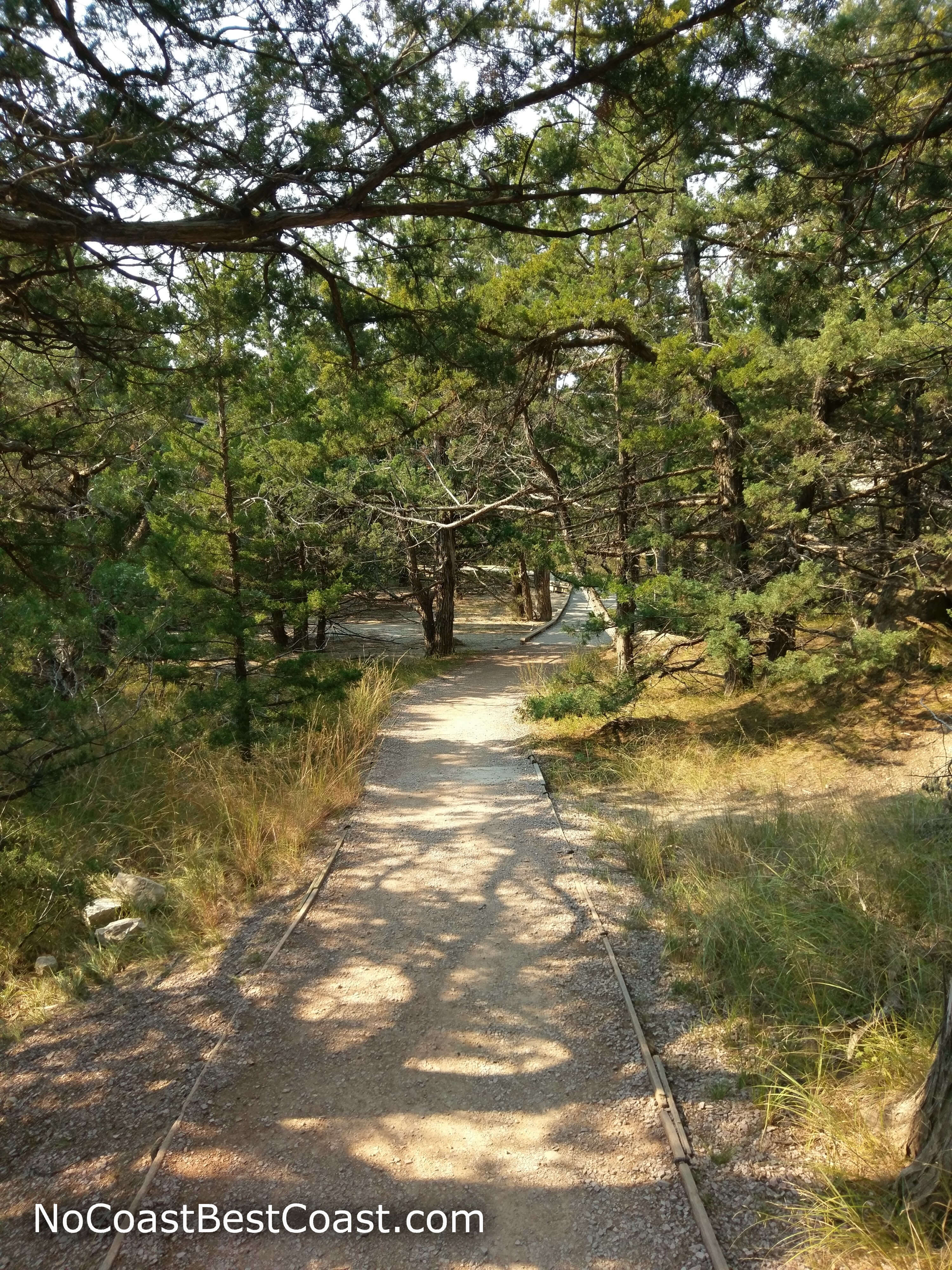 Juniper trees create some of the only shade in the park