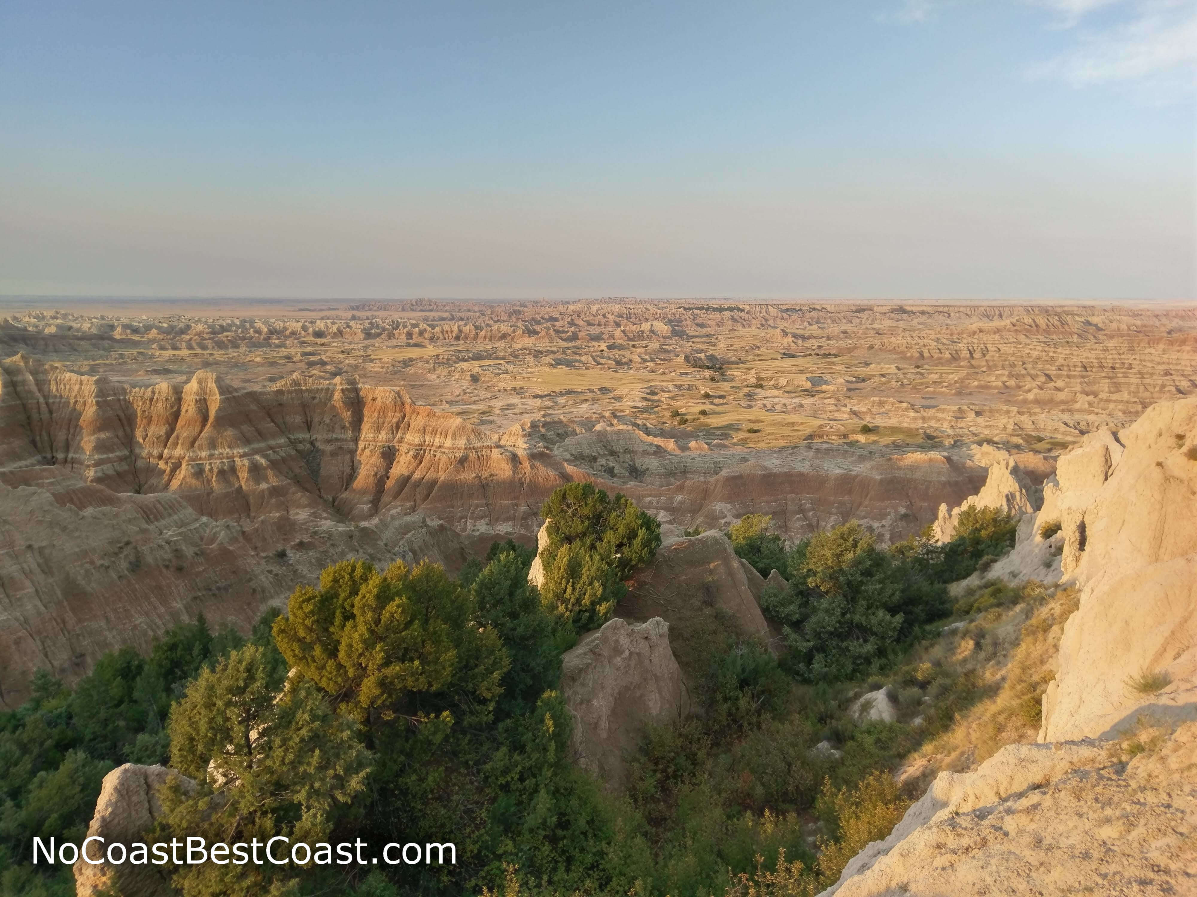 Trees and greenery growing in the shade of the badlands