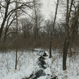 A little creek (let's pretend it's the namesake Battle Creek) runs past the trail