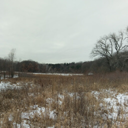 Looking across the snow covered prairie