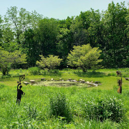 The small pond and metal sculptures in the butterfly garden