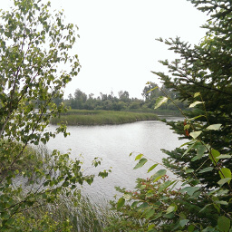 The viewing platform on the Marsh Vista Trail gives you this lush scene