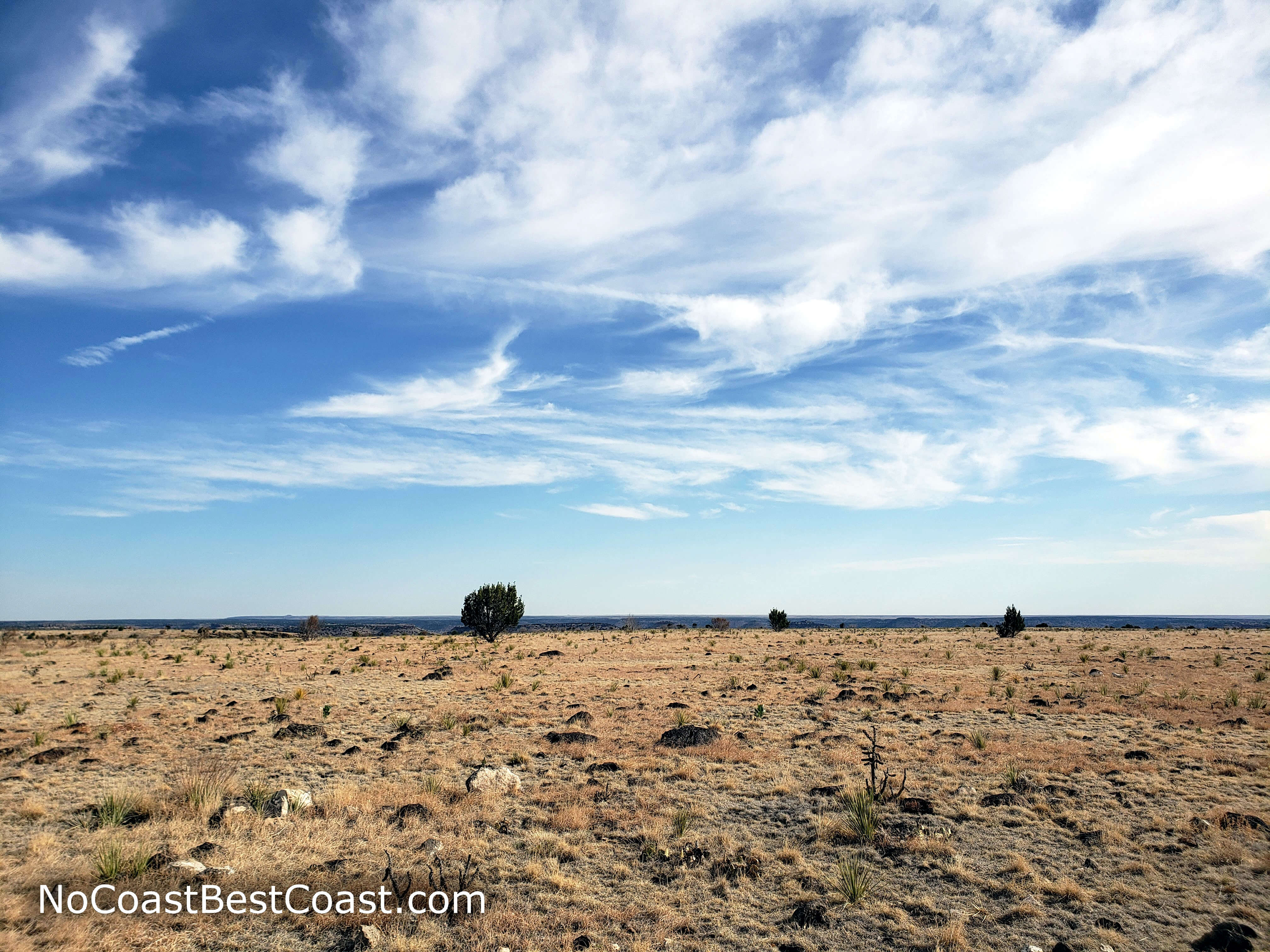 The flat, arid environment on top of Black Mesa