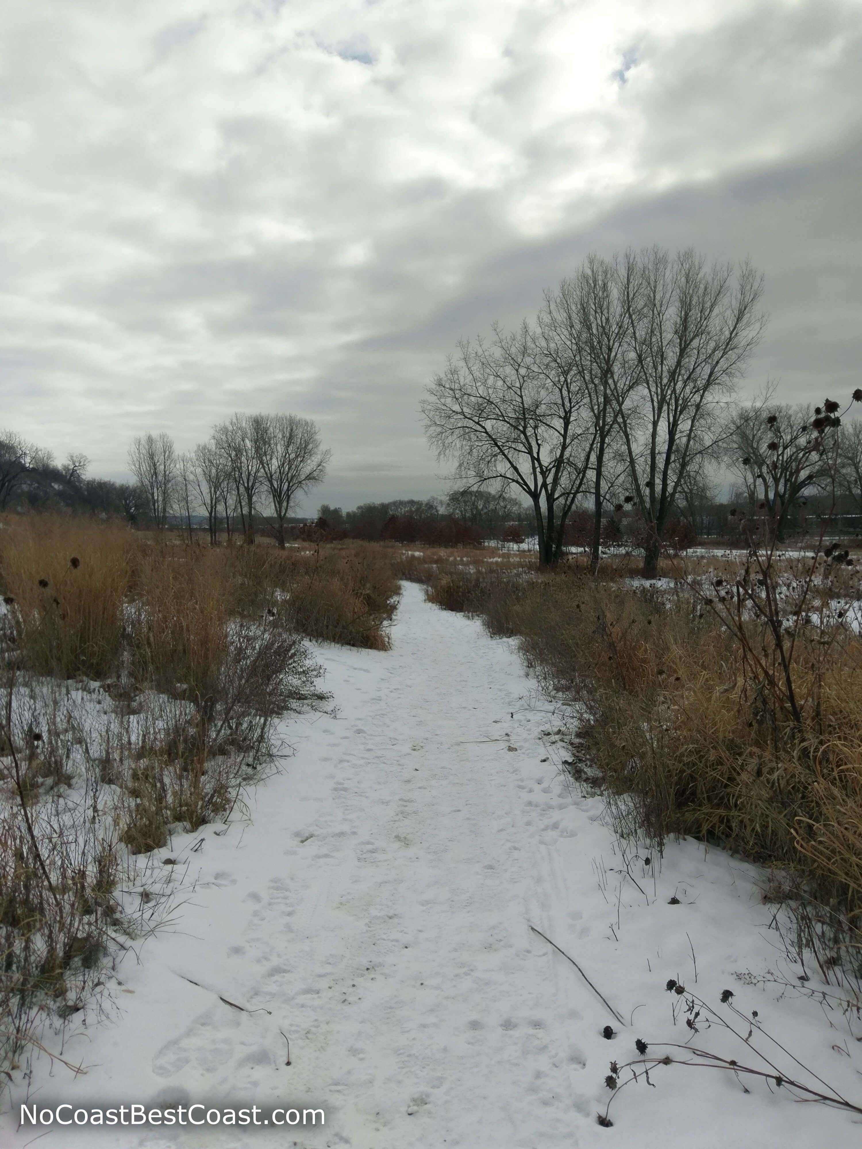 The snowy trail through the frozen prairie
