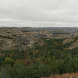 Fall colors at the bottom of the endless canyon