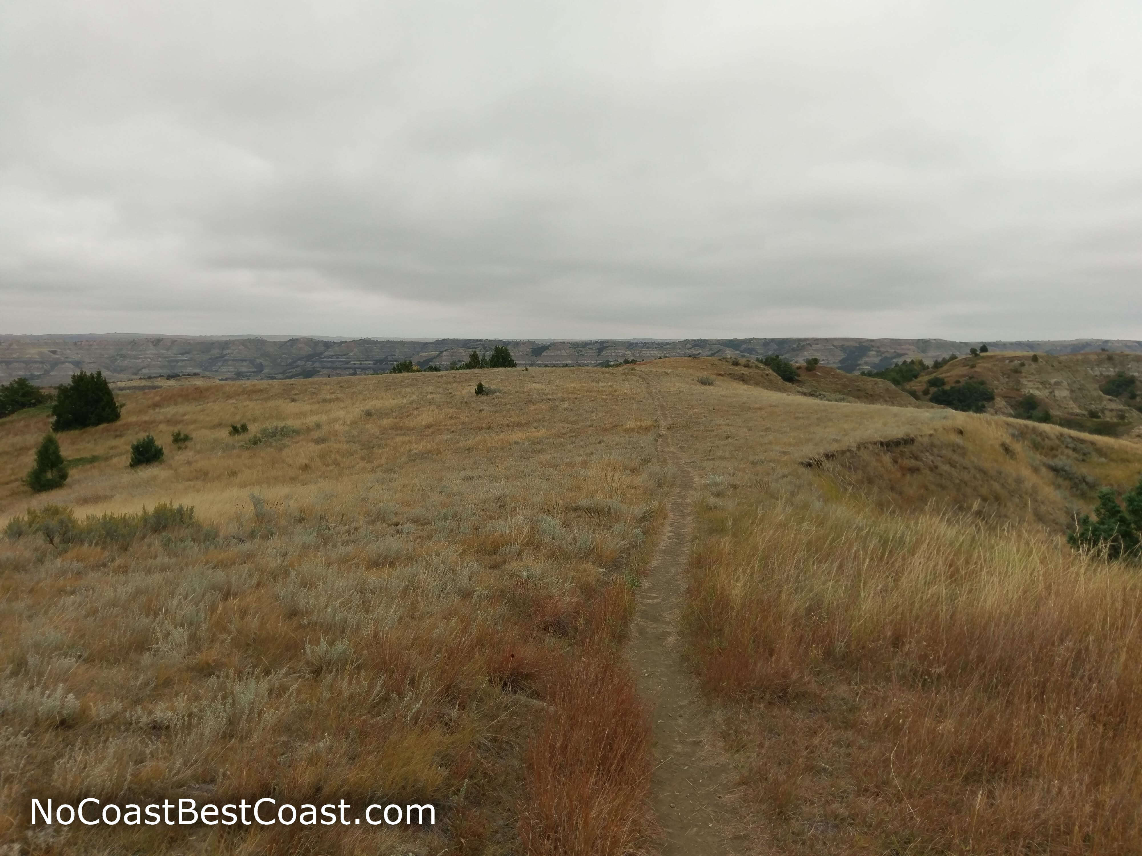 Caprock Coulee Trail as it extends across the plateau