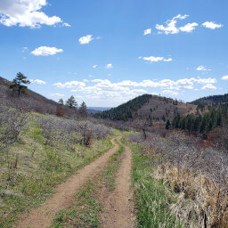 Views from the Powerline Trail as you approach the Elk Valley Trail