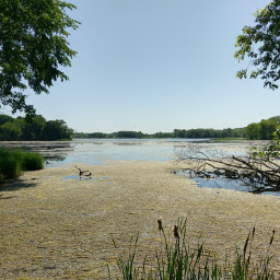 Looking across Lundsten Lake in Carver Park Reserve