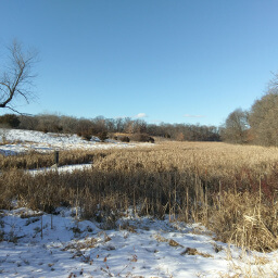 Snowy hills next to the frozen marsh
