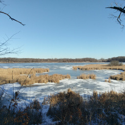 Looking across the icy Stone Lake