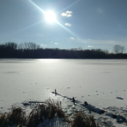 The bright sun shines over a frozen Crosby Lake