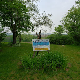 The sign at the top of Charles Mound marking the elevation