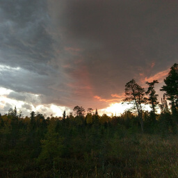 Even the bog across from the parking lot is scenic