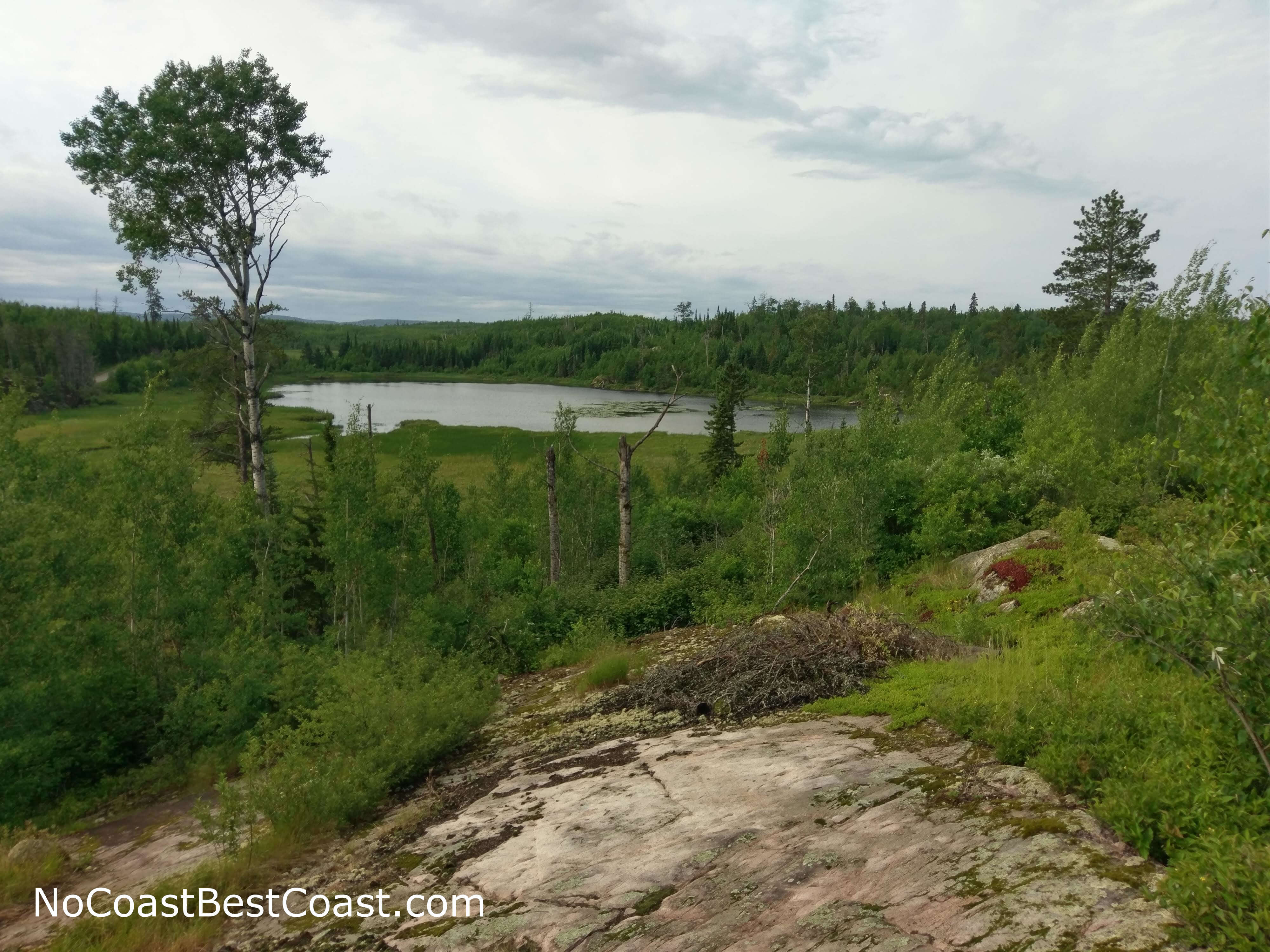 The view from Moose Pond Point, overlooking (obviously) Moose Pond