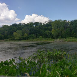 The dock on Upper Lake