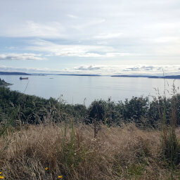 Puget Sound from the Loop Trail