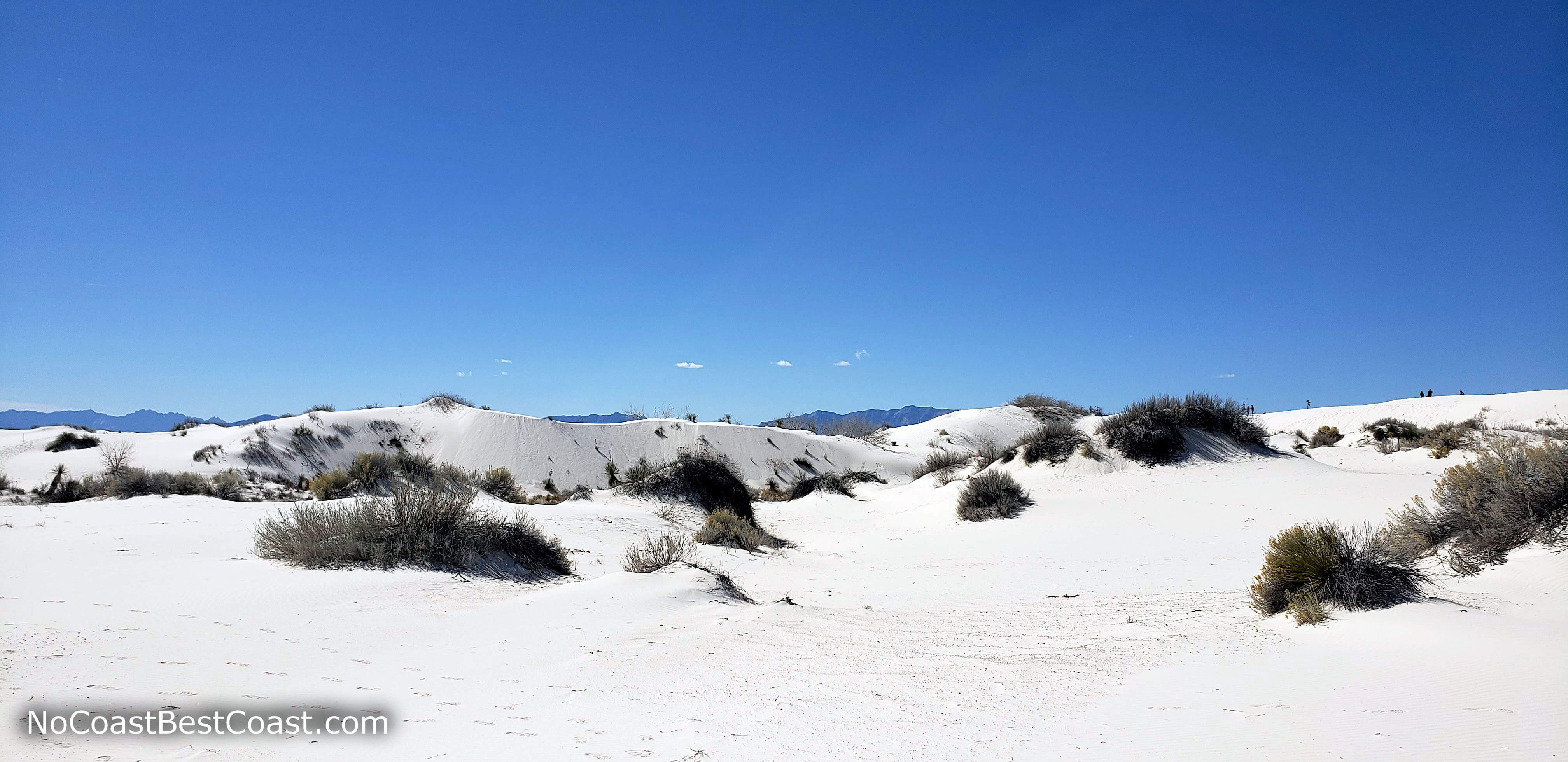 The famous bright white dunes with shrubs interspersed