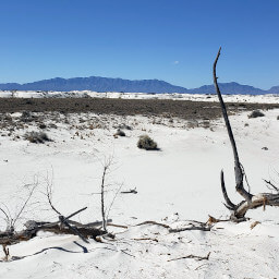 The view of the San Andres Mountains at the halfway point