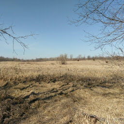 The grasslands of Elm Creek Park Reserve on a sunny day in March.