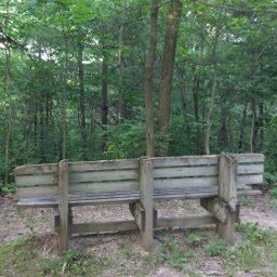 This bench faces away from the trail as if there was a scenic view or overlook here