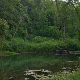 The South Branch Root River from the bridge