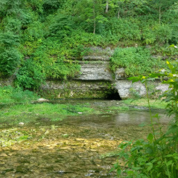 The South Branch Root River from the bridge