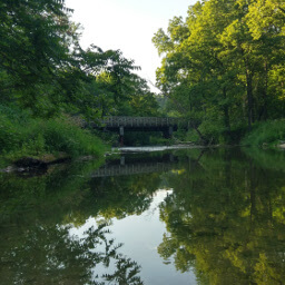 Late afternoon sun over the South Branch Root River