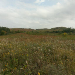 The grassy, glacier-carved hills in the distance