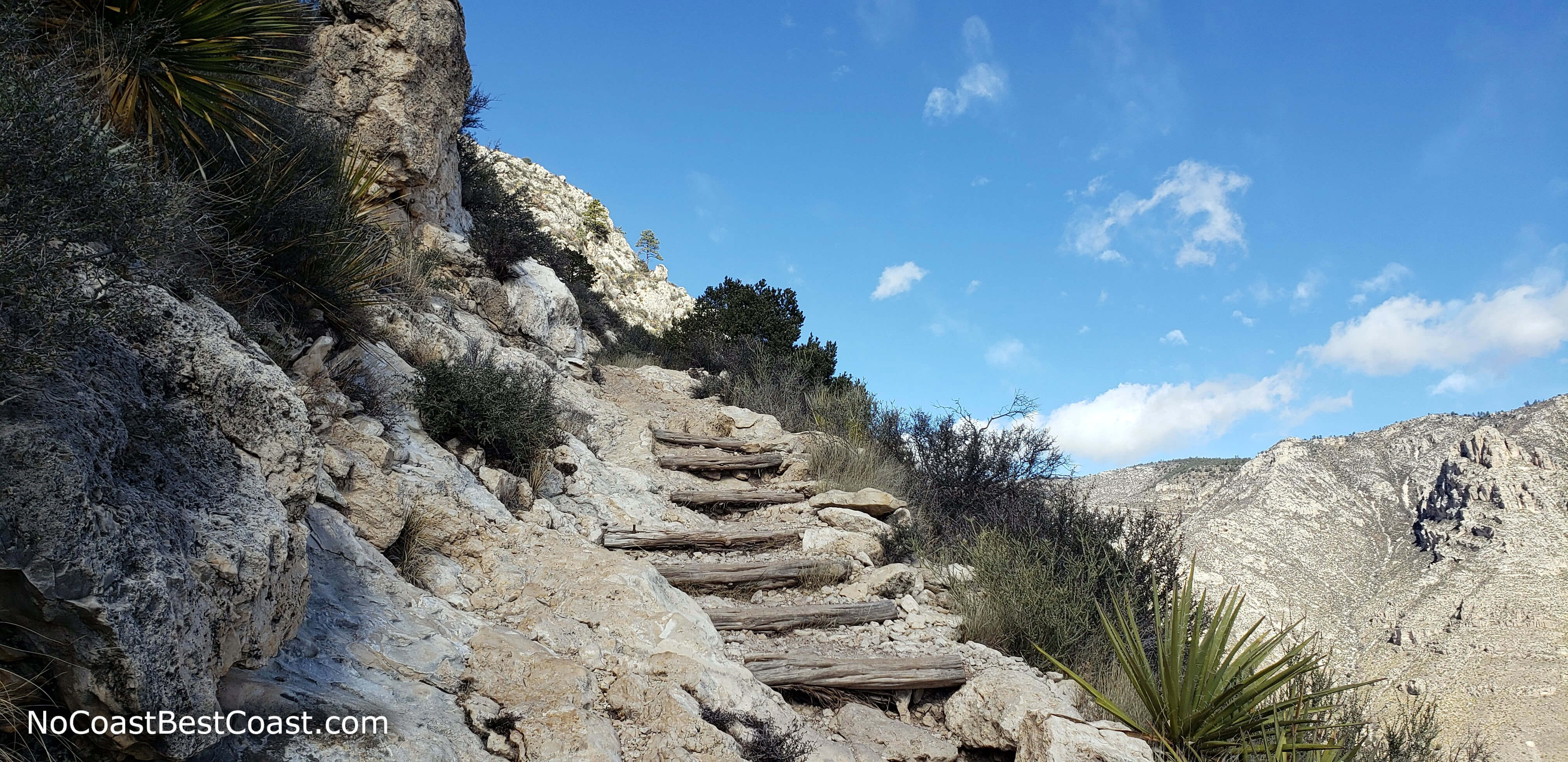 Wooden steps are common on the first part of the trail