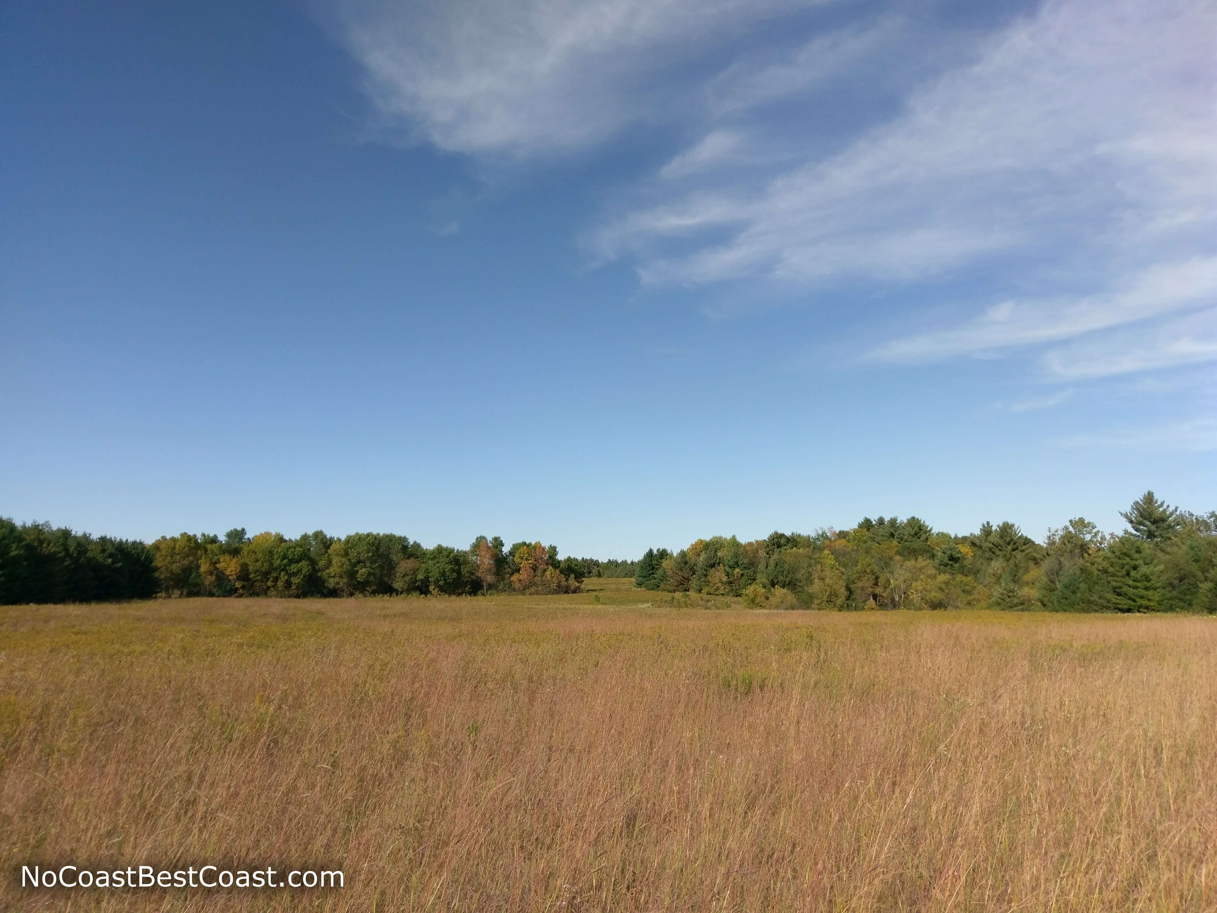 Looking across the prairie with a twinge of fall color