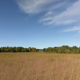 Looking across the prairie with a twinge of fall color