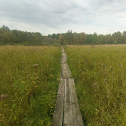 Early travelers did not have such luxuries as this boardwalk over the marsh