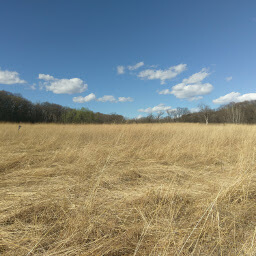 The prairie of Hyland Lake Park Reserve in early spring.