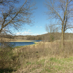 The beautiful waters at Hyland Lake Park Reserve