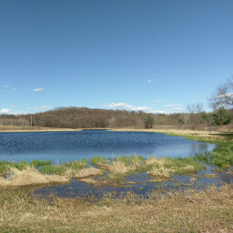 Early springtime lake views.