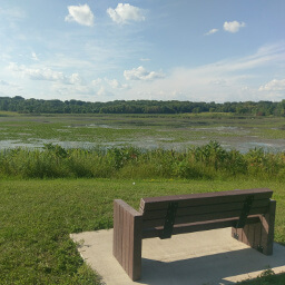 A bench overlooking Lake Katrina in Baker Park Reserve