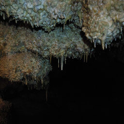 A seam of crystals near the start of the tour