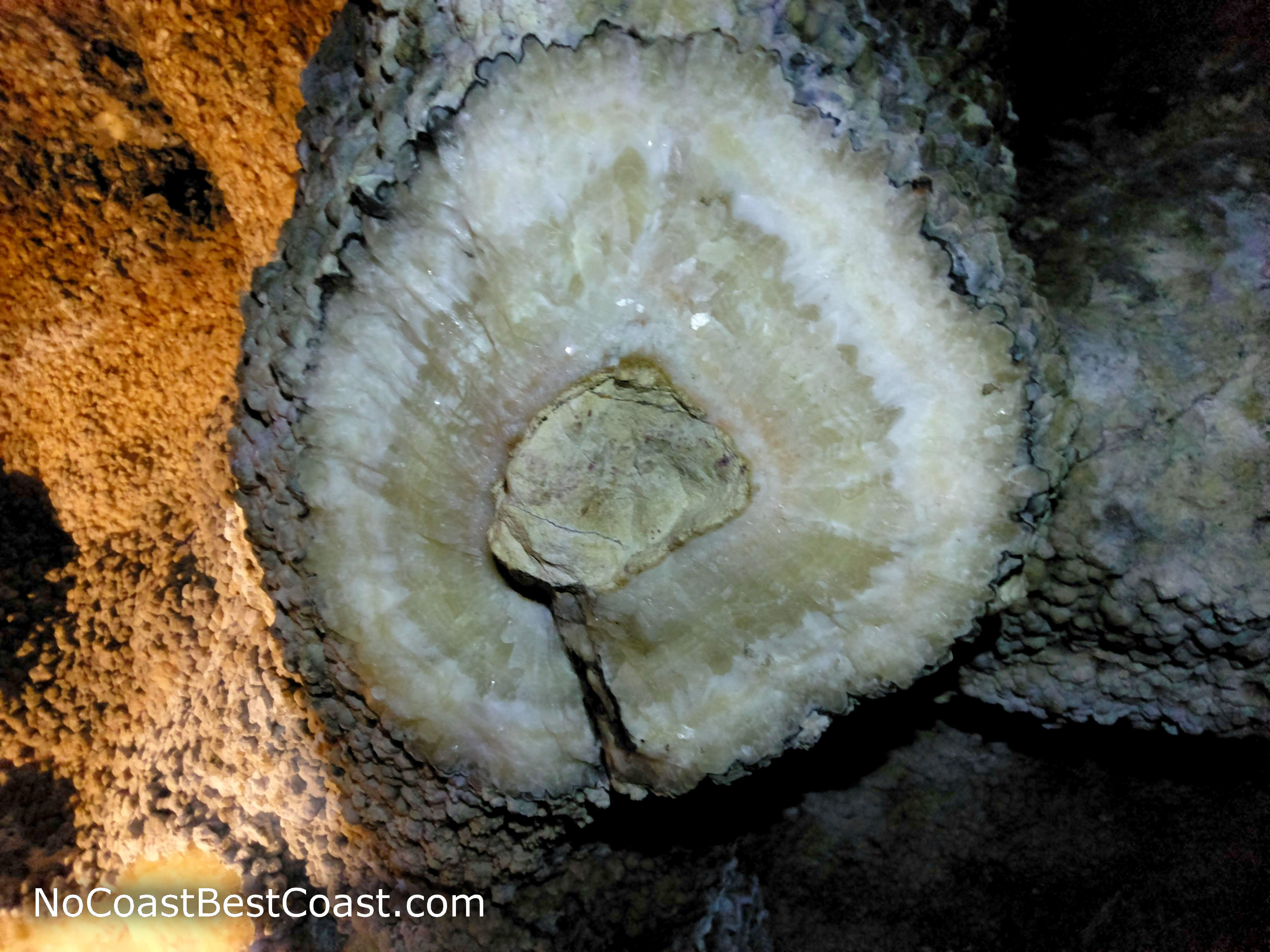 Calcite crystals like this are the reason it's called Jewel Cave