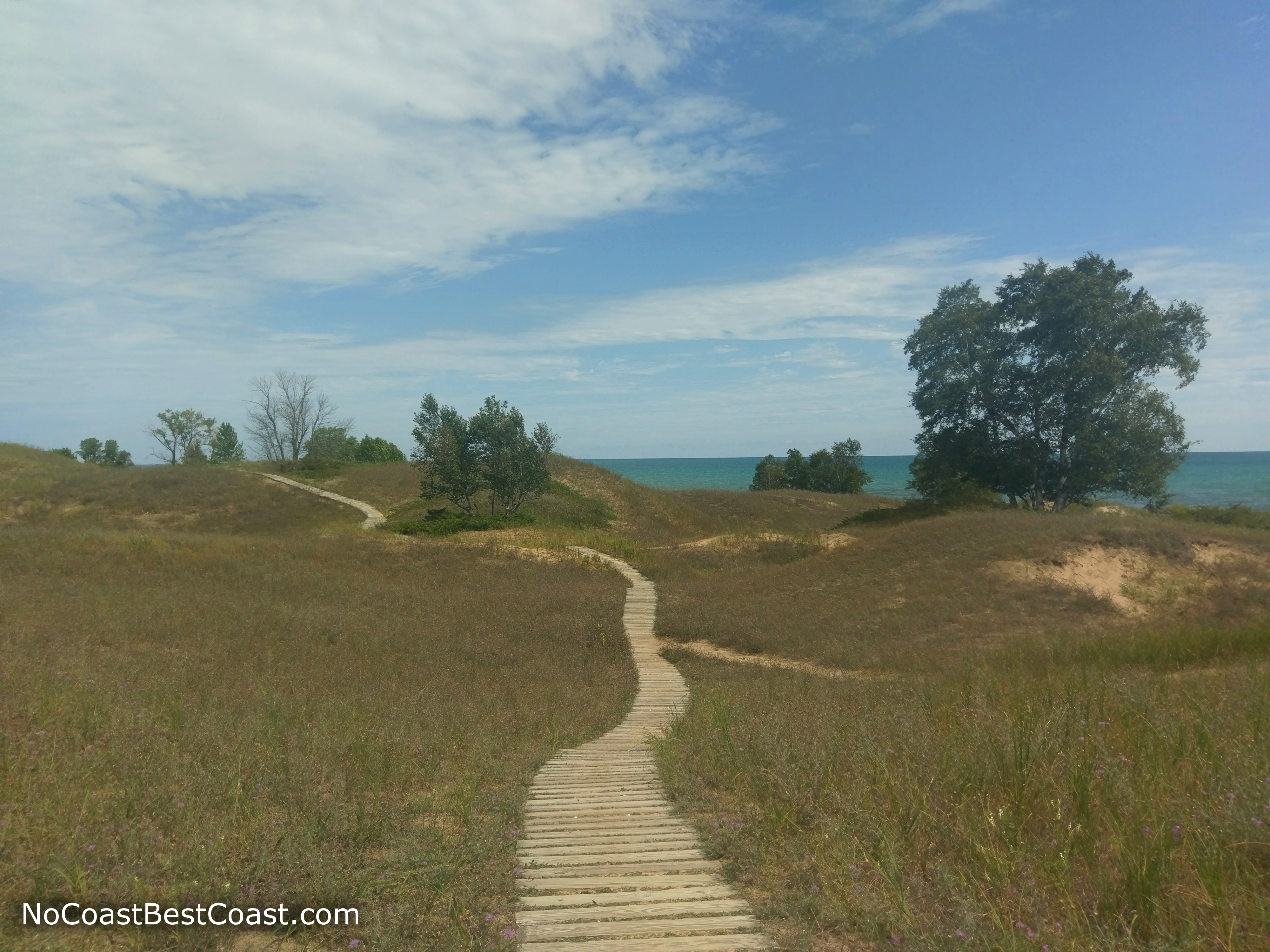 The cordwalk over the dunes with Lake Michigan in the background