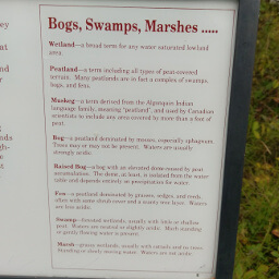 This sign explaining the difference between marshes, bogs, and other wetland areas is one of the most genuinely helpful educational signs I've ever encountered
