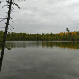 The lake view at the end of the bog walk