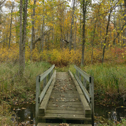 One of a couple short bridges along the Lake Erin Trail